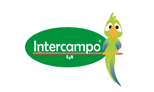 Intercampo